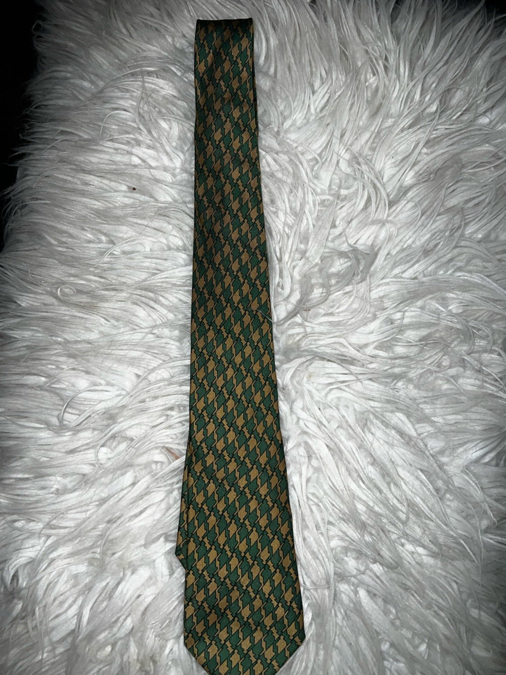 Roberto Cavalli Green and Tan Geometric Silk Tie